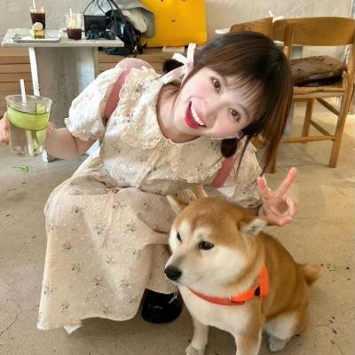伊如阳光